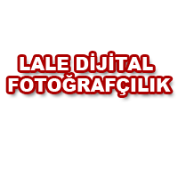 Lale Dijital Fotoğrafçılık